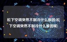 松下空调突然不制冷什么原因(松下空调突然不制冷什么原因呢)