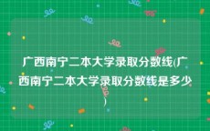 广西南宁二本大学录取分数线(广西南宁二本大学录取分数线是多少)