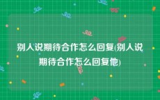 别人说期待合作怎么回复(别人说期待合作怎么回复他)