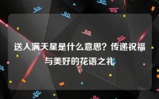 送人满天星是什么意思？传递祝福与美好的花语之礼