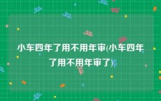 小车四年了用不用年审(小车四年了用不用年审了)