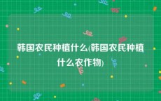 韩国农民种植什么(韩国农民种植什么农作物)