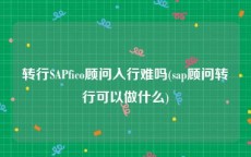 转行SAPfico顾问入行难吗(sap顾问转行可以做什么)