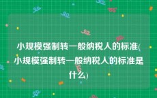 小规模强制转一般纳税人的标准(小规模强制转一般纳税人的标准是什么)