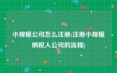 小规模公司怎么注册(注册小规模纳税人公司的流程)