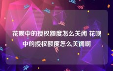 花呗中的授权额度怎么关闭 花呗中的授权额度怎么关闭啊