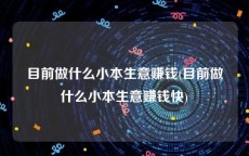 目前做什么小本生意赚钱(目前做什么小本生意赚钱快)