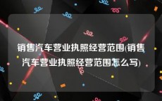 销售汽车营业执照经营范围(销售汽车营业执照经营范围怎么写)