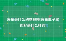 海兔是什么动物视频(海兔肚子里的籽是什么样的)