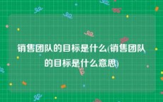 销售团队的目标是什么(销售团队的目标是什么意思)