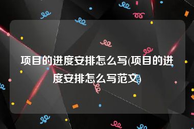 项目的进度安排怎么写(项目的进度安排怎么写范文)