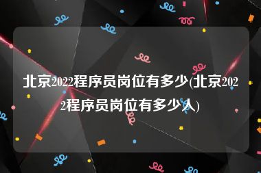 北京2022程序员岗位有多少(北京2022程序员岗位有多少人)