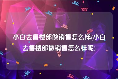 小白去售楼部做销售怎么样(小白去售楼部做销售怎么样呢)