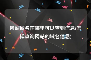 网站域名在哪里可以查到信息(怎样查询网站的域名信息)