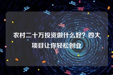 农村二十万投资做什么好？四大项目让你轻松创业