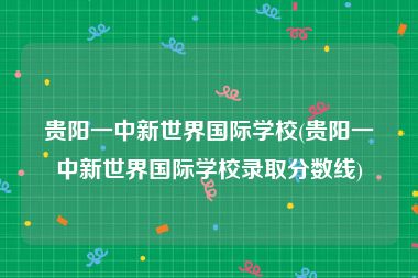 贵阳一中新世界国际学校(贵阳一中新世界国际学校录取分数线)