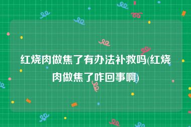 红烧肉做焦了有办法补救吗(红烧肉做焦了咋回事啊)