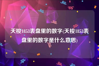 天梭1853表盘里的数字(天梭1853表盘里的数字是什么意思)