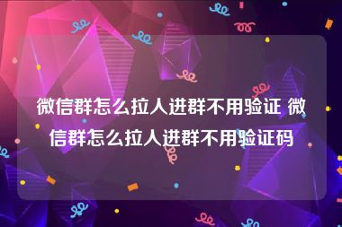 微信群怎么拉人进群不用验证 微信群怎么拉人进群不用验证码