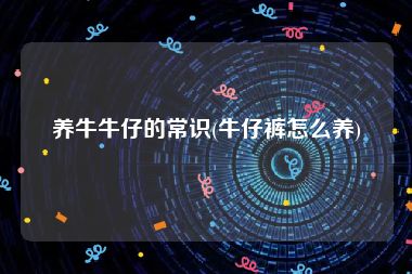 养牛牛仔的常识(牛仔裤怎么养)