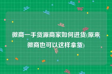 微商一手货源商家如何进货(原来微商也可以这样拿货)