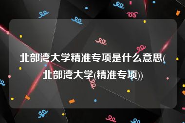 北部湾大学精准专项是什么意思(北部湾大学(精准专项))