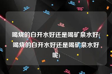 喝烧的白开水好还是喝矿泉水好(喝烧的白开水好还是喝矿泉水好呢)