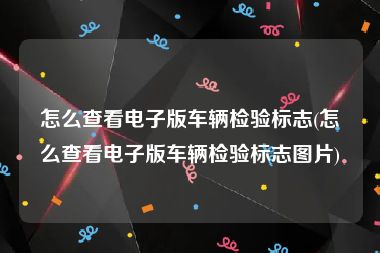 怎么查看电子版车辆检验标志(怎么查看电子版车辆检验标志图片)