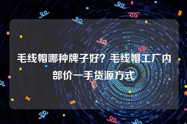 毛线帽哪种牌子好？毛线帽工厂内部价一手货源方式