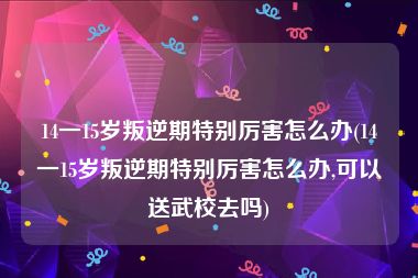 14一15岁叛逆期特别厉害怎么办(14一15岁叛逆期特别厉害怎么办,可以送武校去吗)