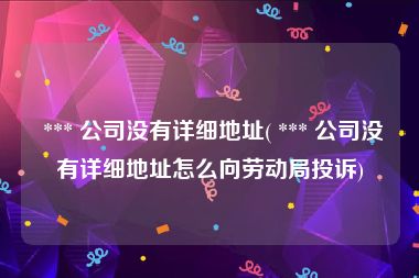  *** 公司没有详细地址( *** 公司没有详细地址怎么向劳动局投诉)