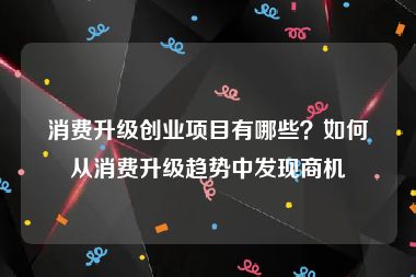 消费升级创业项目有哪些？如何从消费升级趋势中发现商机