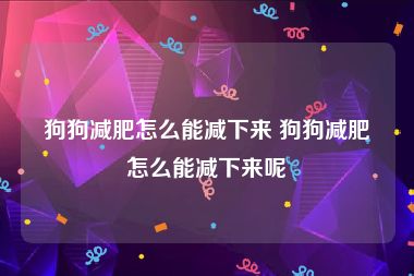 狗狗减肥怎么能减下来 狗狗减肥怎么能减下来呢