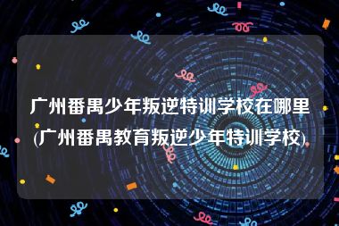 广州番禺少年叛逆特训学校在哪里(广州番禺教育叛逆少年特训学校)