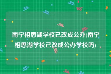 南宁相思湖学校已改成公办(南宁相思湖学校已改成公办学校吗)