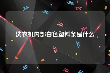 洗衣机内部白色塑料条是什么