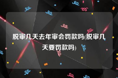 脱审几天去年审会罚款吗(脱审几天要罚款吗)