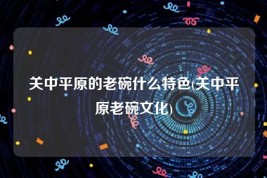 关中平原的老碗什么特色(关中平原老碗文化)