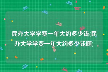 民办大学学费一年大约多少钱(民办大学学费一年大约多少钱啊)