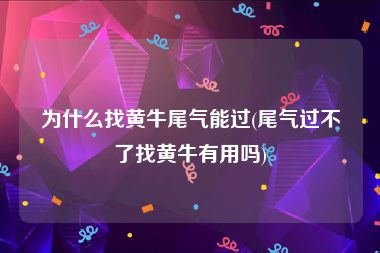 为什么找黄牛尾气能过(尾气过不了找黄牛有用吗)