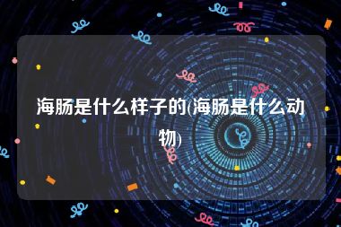 海肠是什么样子的(海肠是什么动物)