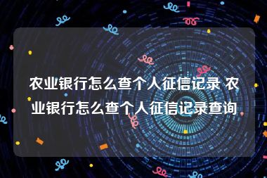 农业银行怎么查个人征信记录 农业银行怎么查个人征信记录查询