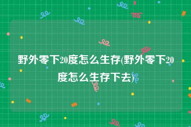 野外零下20度怎么生存(野外零下20度怎么生存下去)