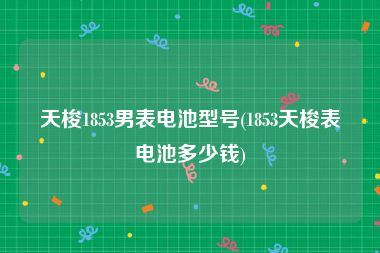 天梭1853男表电池型号(1853天梭表电池多少钱)