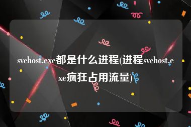 svchost.exe都是什么进程(进程svchost.exe疯狂占用流量)