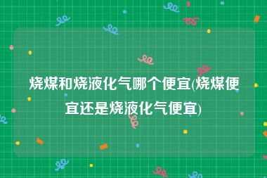 烧煤和烧液化气哪个便宜(烧煤便宜还是烧液化气便宜)