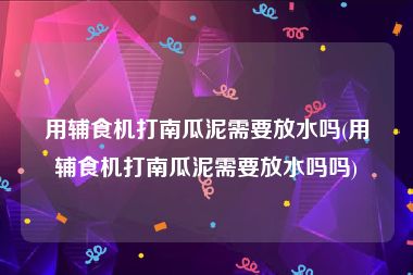 用辅食机打南瓜泥需要放水吗(用辅食机打南瓜泥需要放水吗吗)