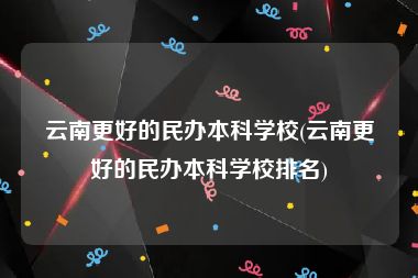 云南更好的民办本科学校(云南更好的民办本科学校排名)