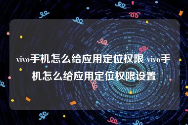 vivo手机怎么给应用定位权限 vivo手机怎么给应用定位权限设置