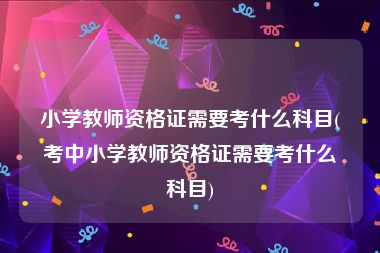 小学教师资格证需要考什么科目(考中小学教师资格证需要考什么科目)